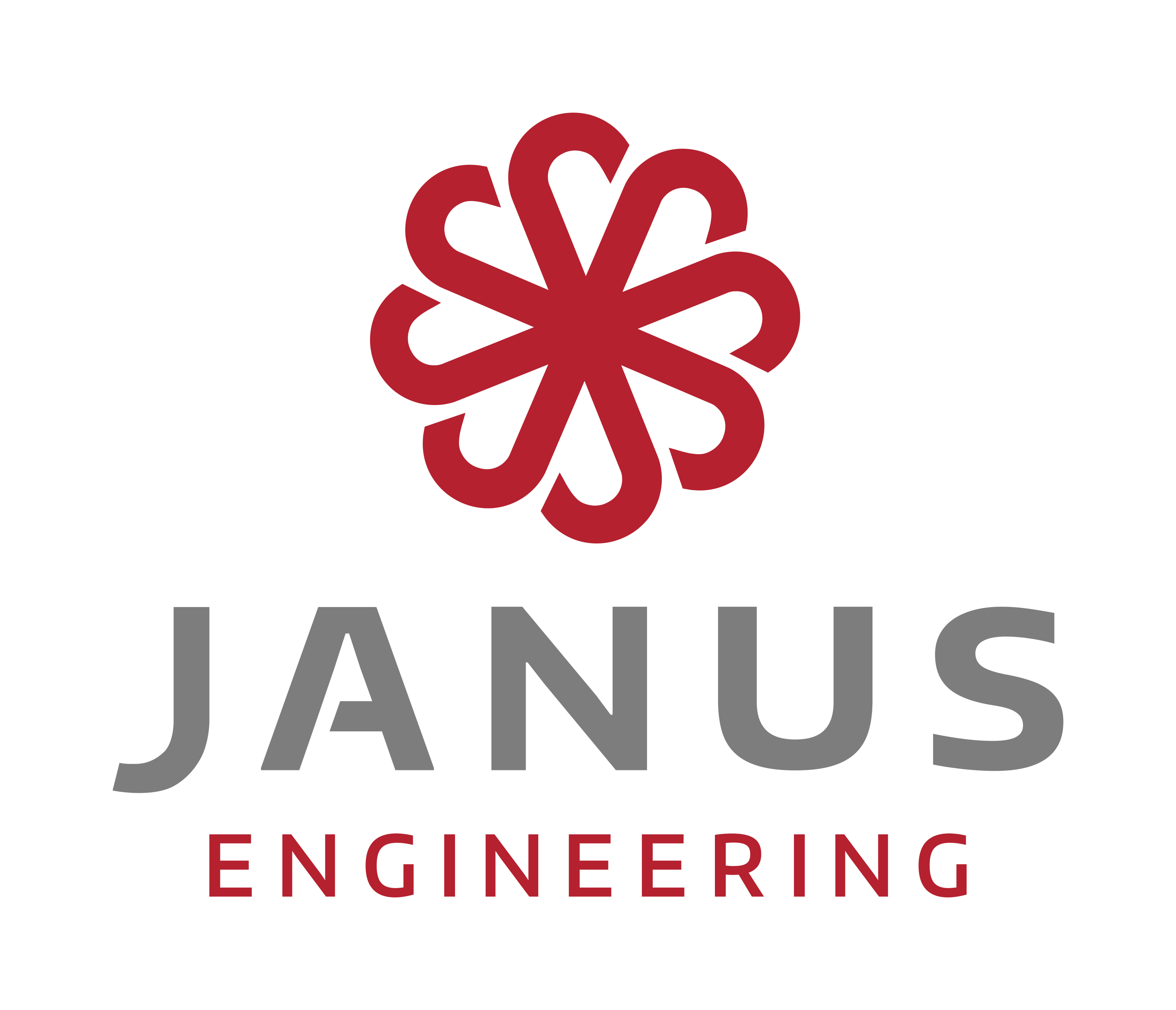 JANUS ENGINEERING